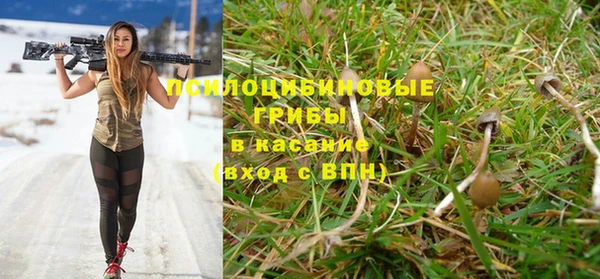 герыч Алексин