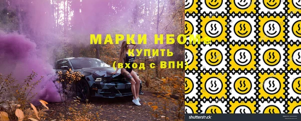 прущие грибы Переславль-Залесский