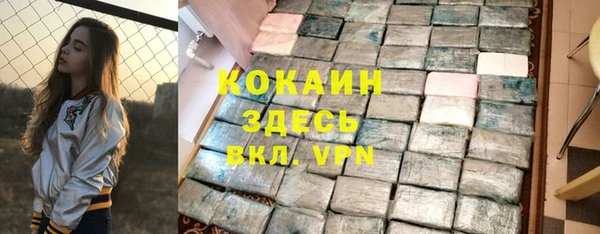 гашик Алзамай